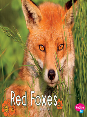 cover image of Red Foxes